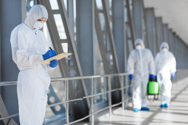 Trusted Lanham, MD Mold Removal Experts