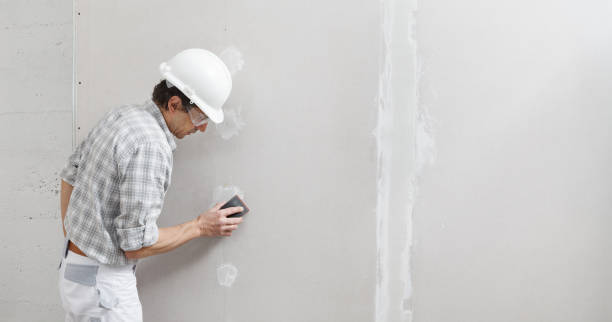 Best Water Damage & Mold Remediation  in Lanham, MD