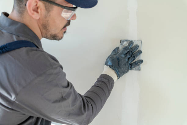 Best Residential Mold Inspection & Testing  in Lanham, MD