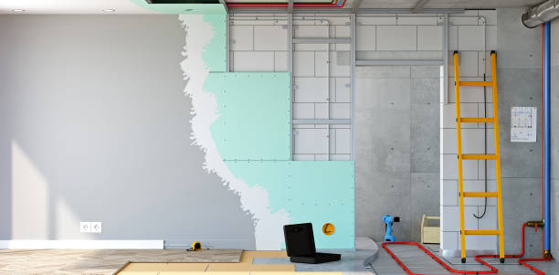 Best Mold Odor Removal Services  in Lanham, MD