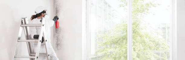  Lanham, MD Mold Removal Pros
